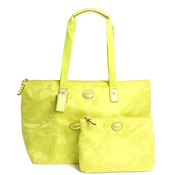 coach travel tote